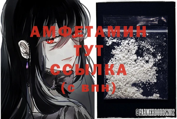 стаф Коряжма
